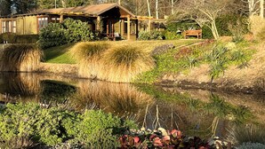 A rustic cabin with a pond, surrounded by dense vegetation and trees.