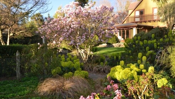 A well-maintained garden with various plants and a house in the background.