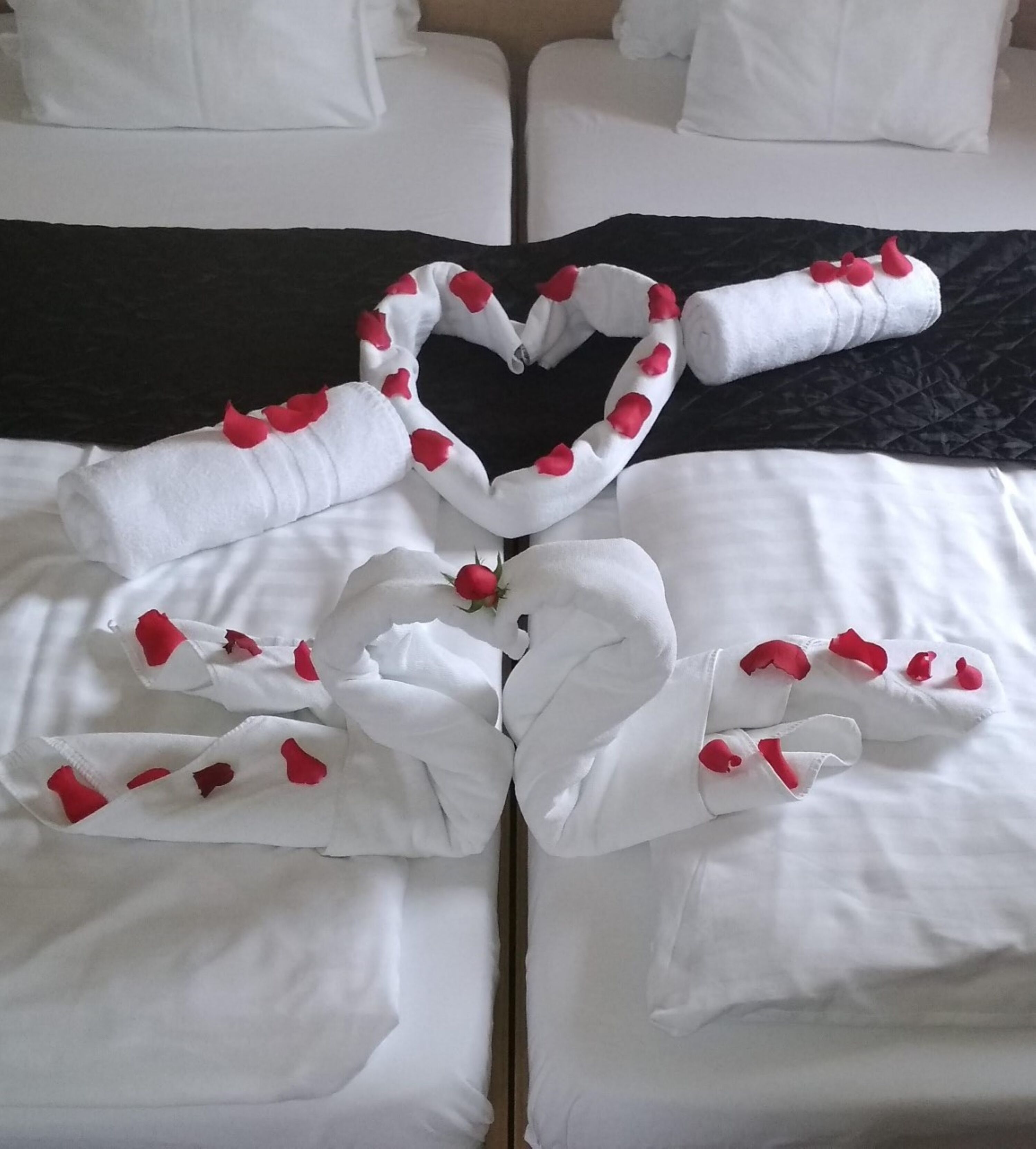 A neatly made bed with white linens and red rose petals arranged in a heart shape.