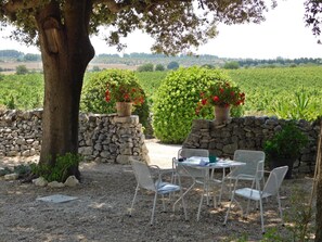 Property grounds - Ai Pilieri di Bagnoli (Andria)
