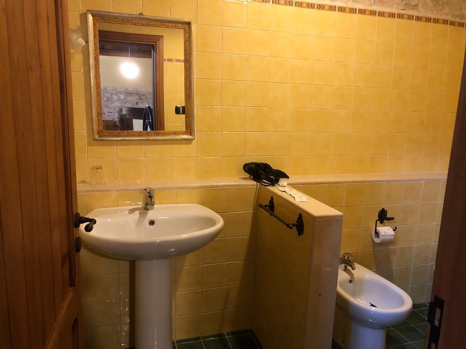 A bathroom with a sink, bidet, and mirror.