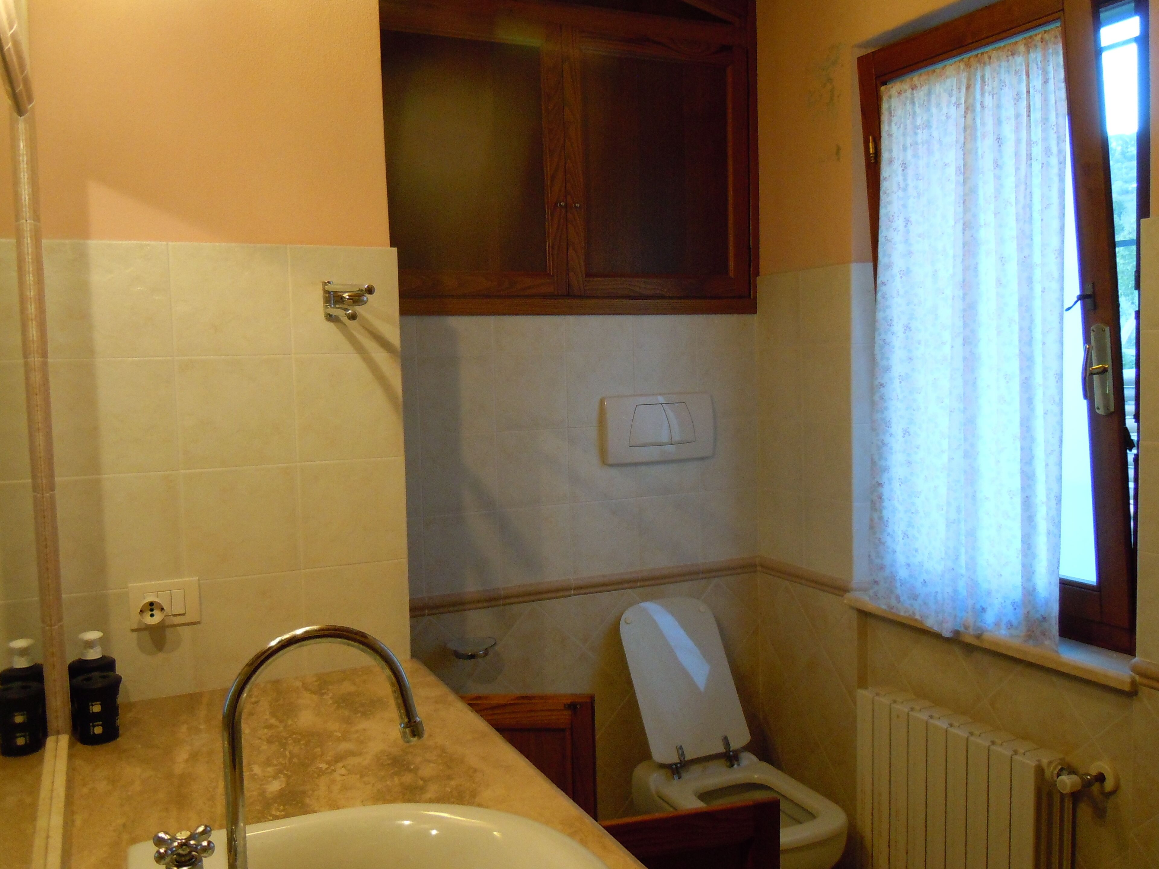 A bathroom with a sink, toilet, and a window with curtains.