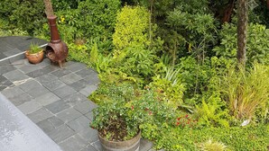 A garden area with potted plants and a rustic outdoor stove. - Peaceful, sunny, furnished - everything you need. (Johnsonville)
