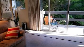 TV, DVD player, books, video library