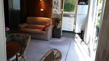 TV, DVD player, books, video library