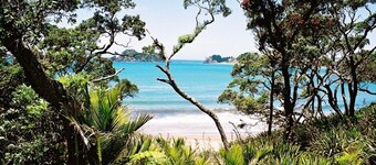 Comfortable bach with stunning views over a beautiful beach
