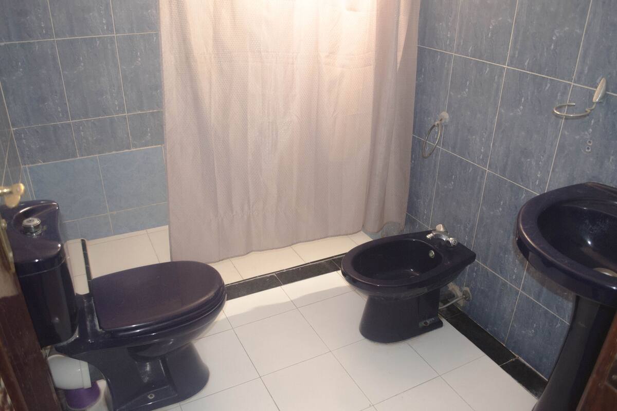 Ducha y cabezal de ducha tipo lluvia
