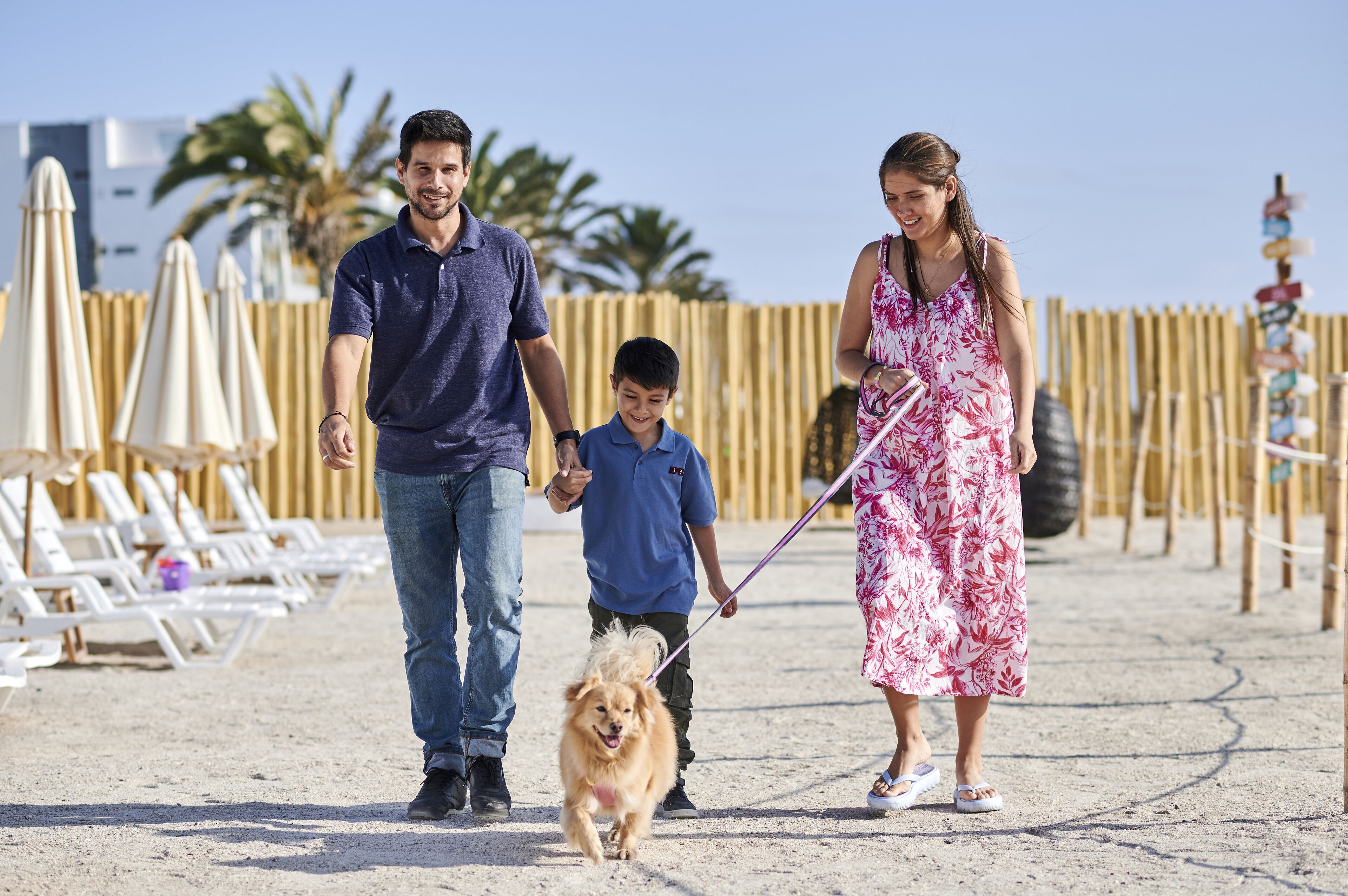 A family walking a dog on a sandy path with beach umbrellas and lounge chairs in the background.