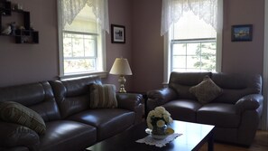 スマートテレビ、暖炉、DVD プレーヤー、書庫