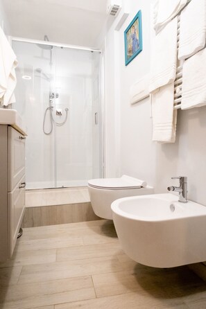 Regadera, secadora de cabello, bidet, toallas 
