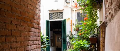 Área da propriedade