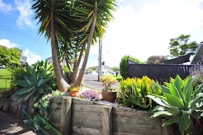 Stroll through this serene garden, surrounded by lush plants and a wooden fence.