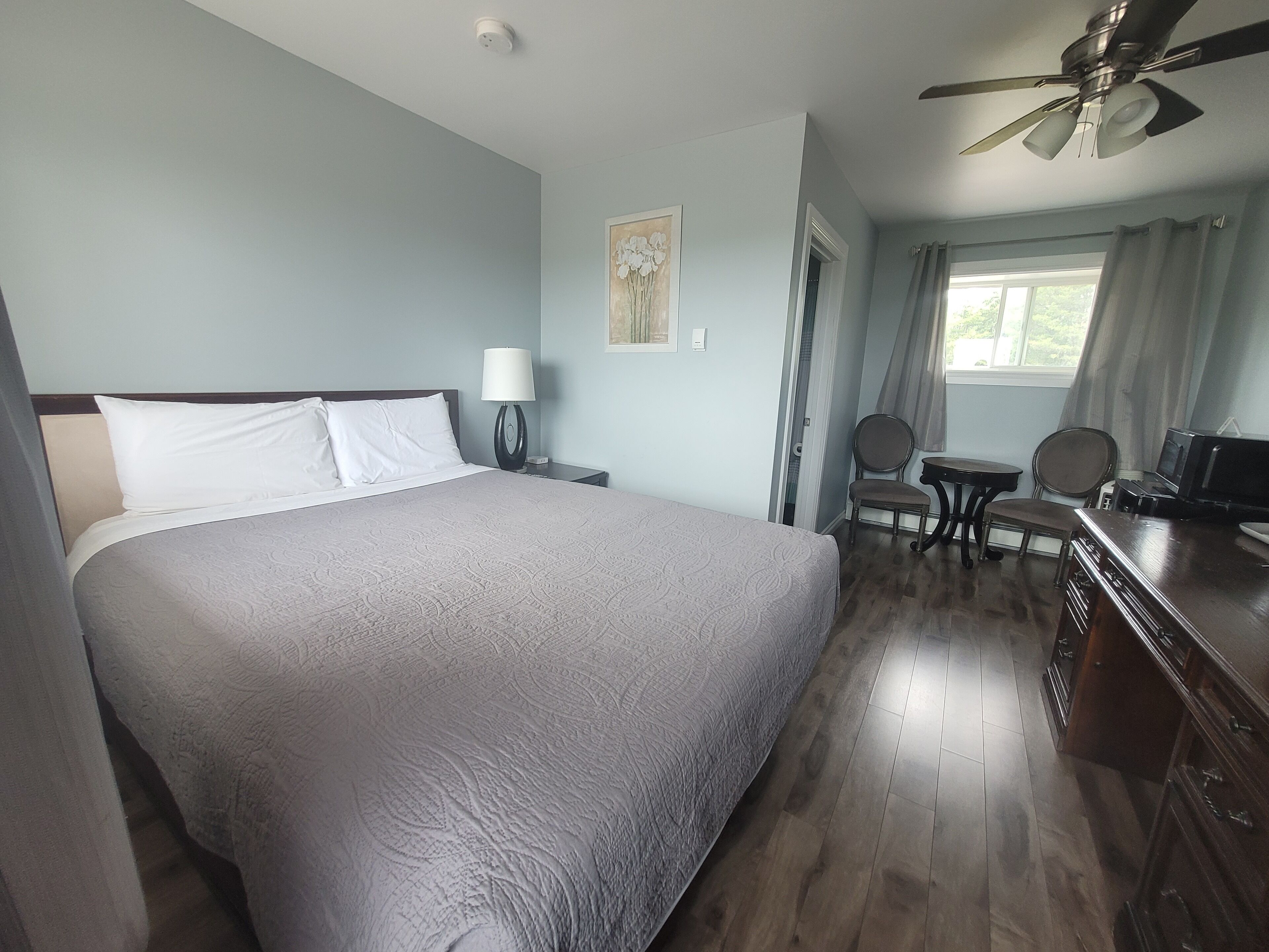 Single Room, 1 Queen Bed, Pets not allowed