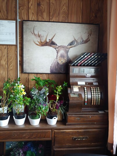 Town and Country Motel in Nipigon