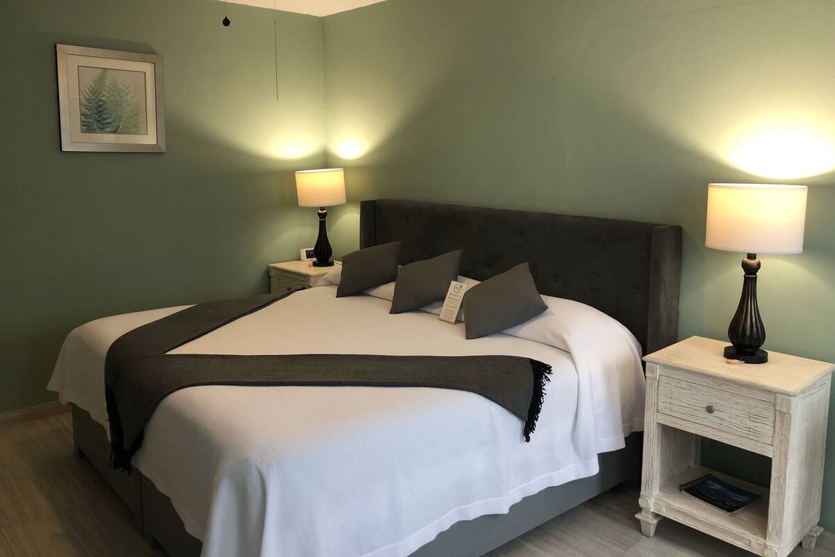 Standard Room, 1 King Bed