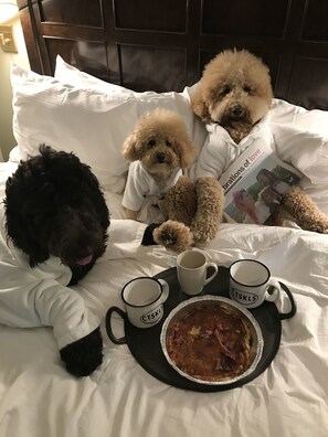 Pet-friendly