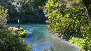A river with clear water surrounded by lush greenery and a rocky outcrop.
