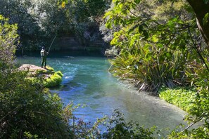 Unclassified image, 4 of 12, button