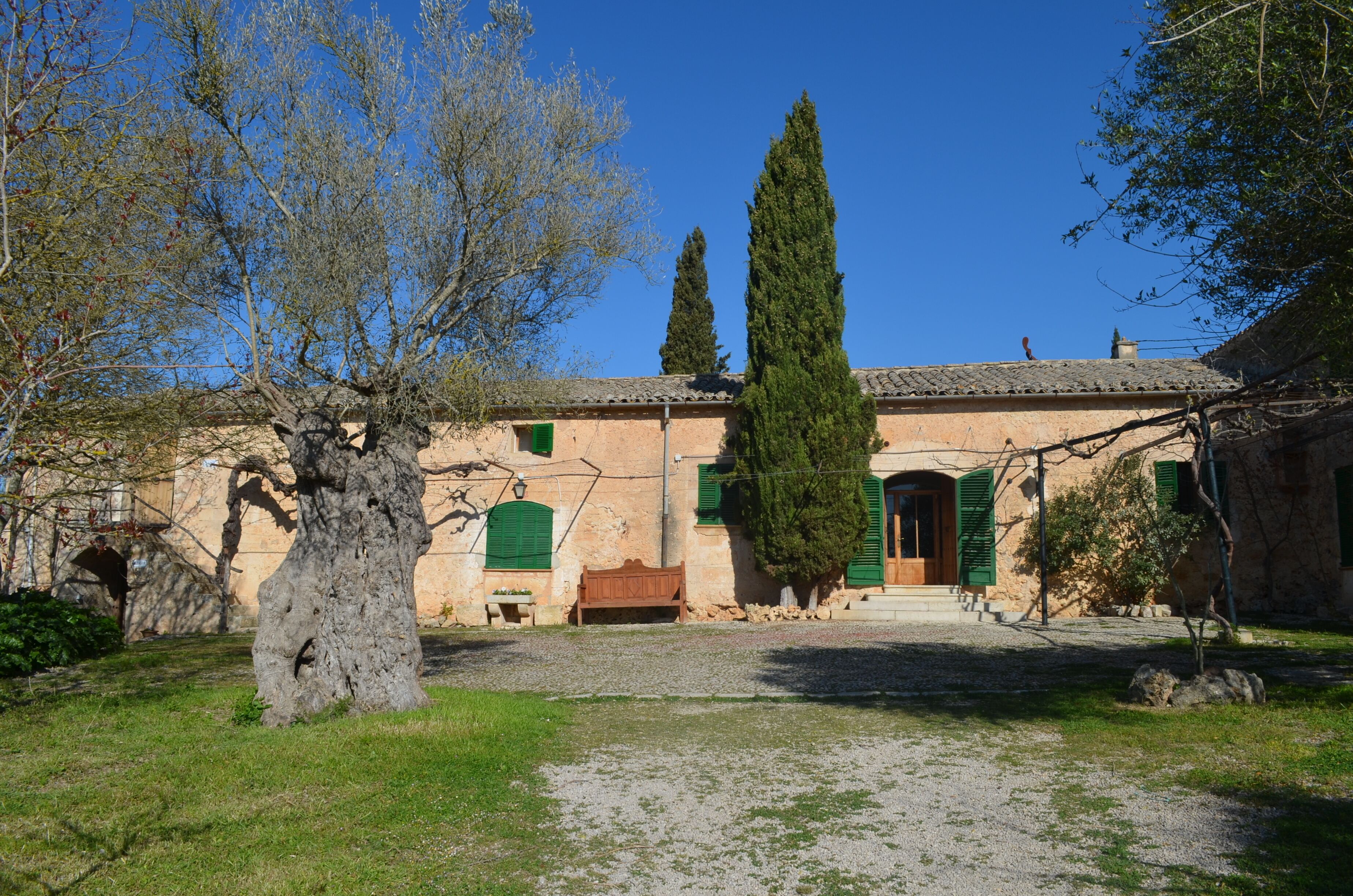 A rustic stone building with green shutters, a wooden bench, and a tall tree in the foreground.