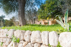 المنطقة المحيطة بالمنشأة