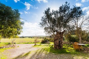 Property grounds - Rural apartment in the center of Mallorca for 2, 4 and 6 people (Sineu)
