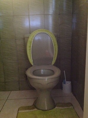 Duschwanne, Haartrockner, Hausschuhe, Handtücher