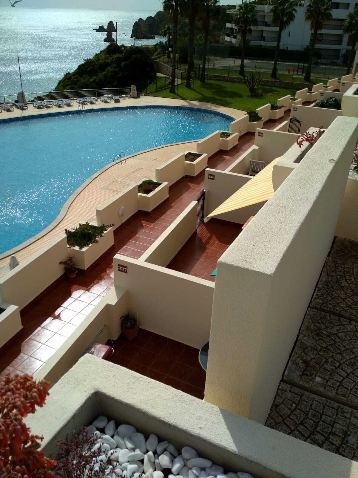 Zona de piscina con borde curvo, rodeada por un muro bajo y escalones que bajan al agua. Hay sillones de descanso y plantas en macetas a lo largo de la piscina.