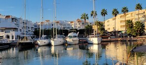 A marina with multiple boats docked, surrounded by buildings and palm trees.