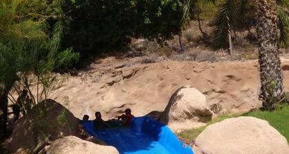 Fantastic ground front line apartment with garden and pool .