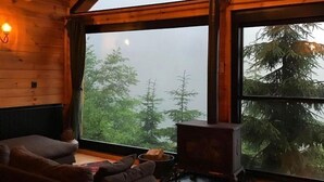 LCD-TV