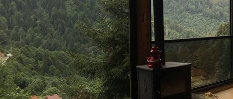 A room with large windows offering a view of a forested valley. A wooden stove is visible in the corner.