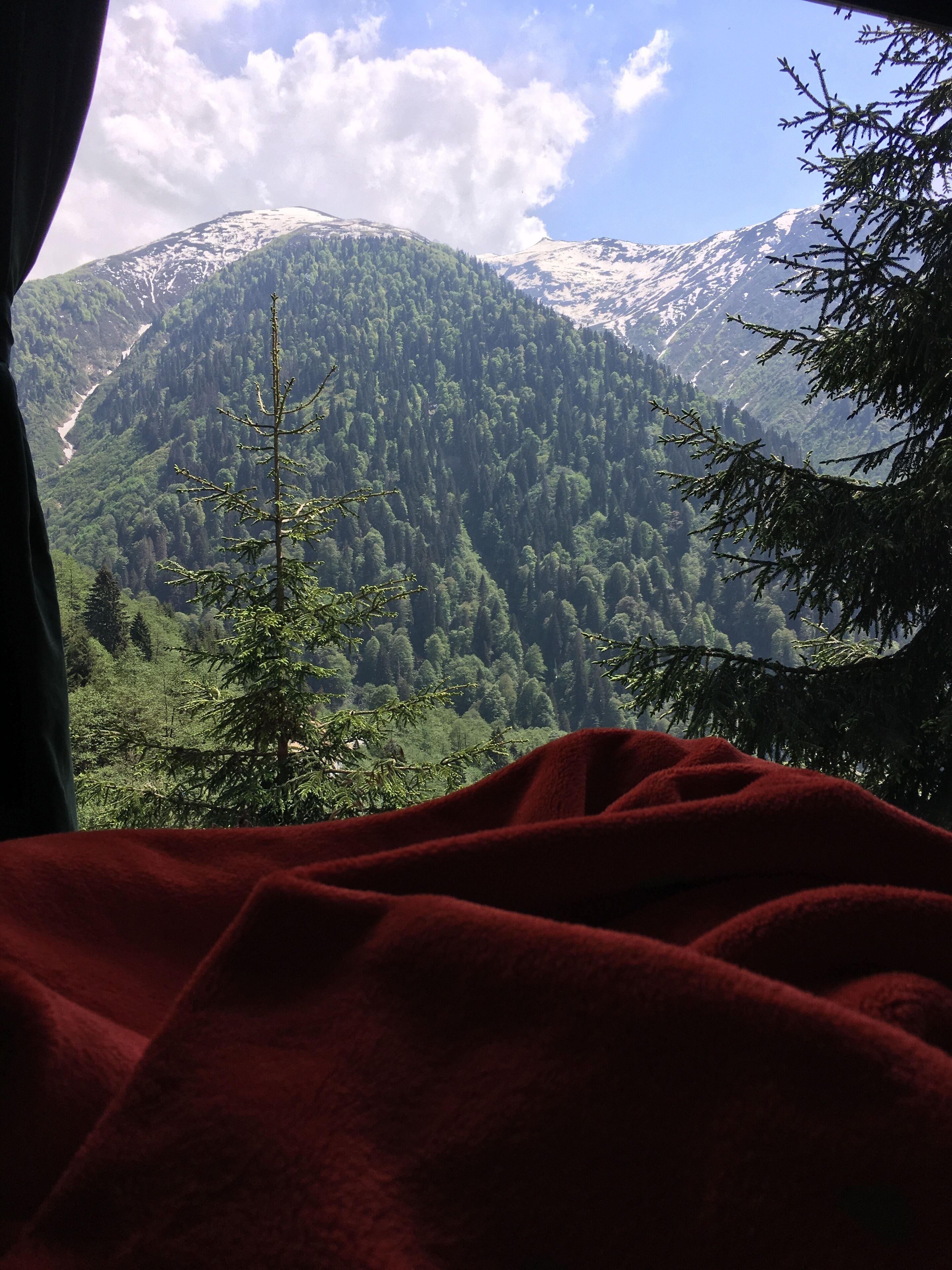 A mountain landscape with a forested valley and a snow-capped peak.
