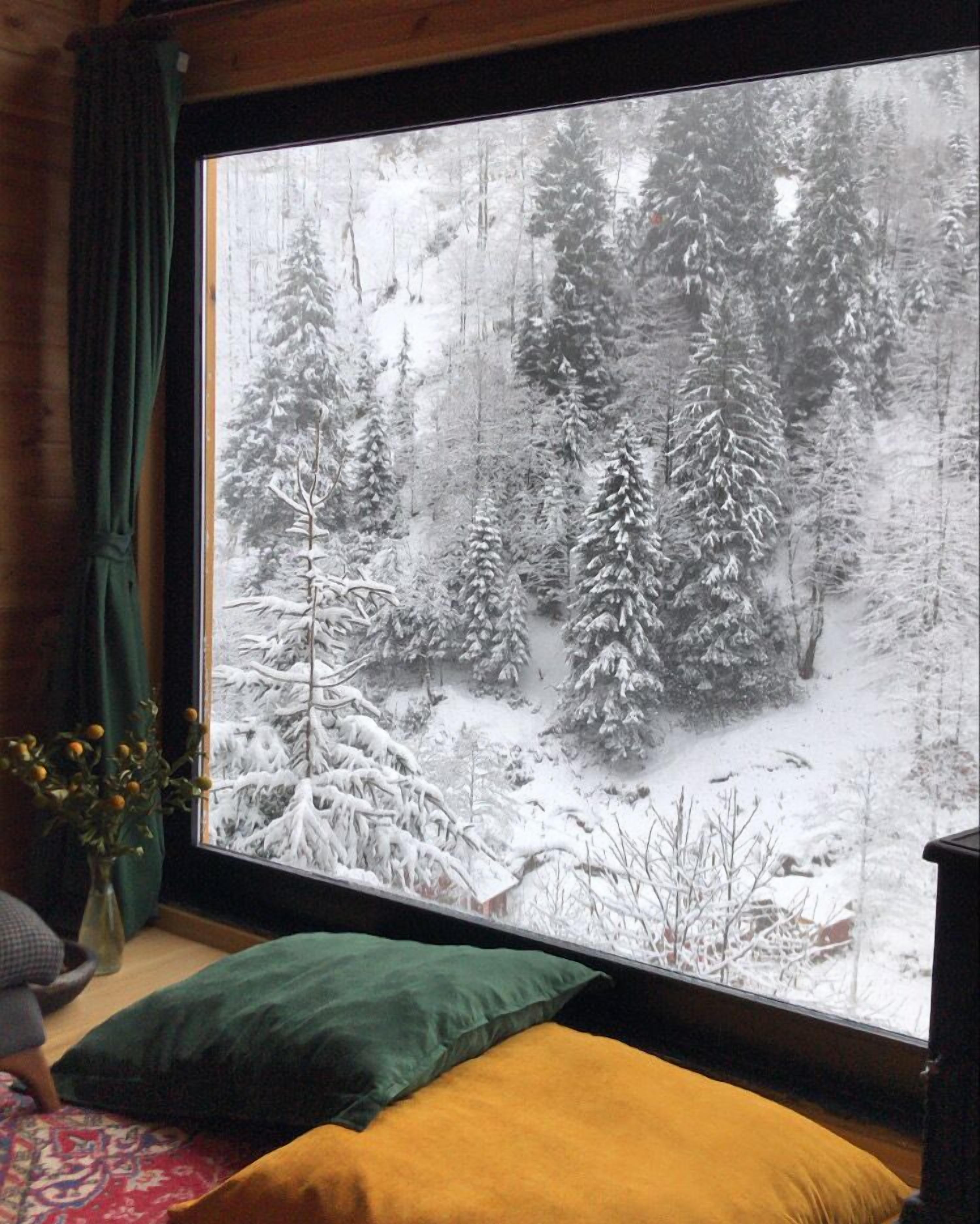 Habitació amb una finestra gran que mostra un paisatge forestal cobert de neu. Hi ha una cortina verda, un vas amb flors grogues i un llit amb naxions verdes i grogues.