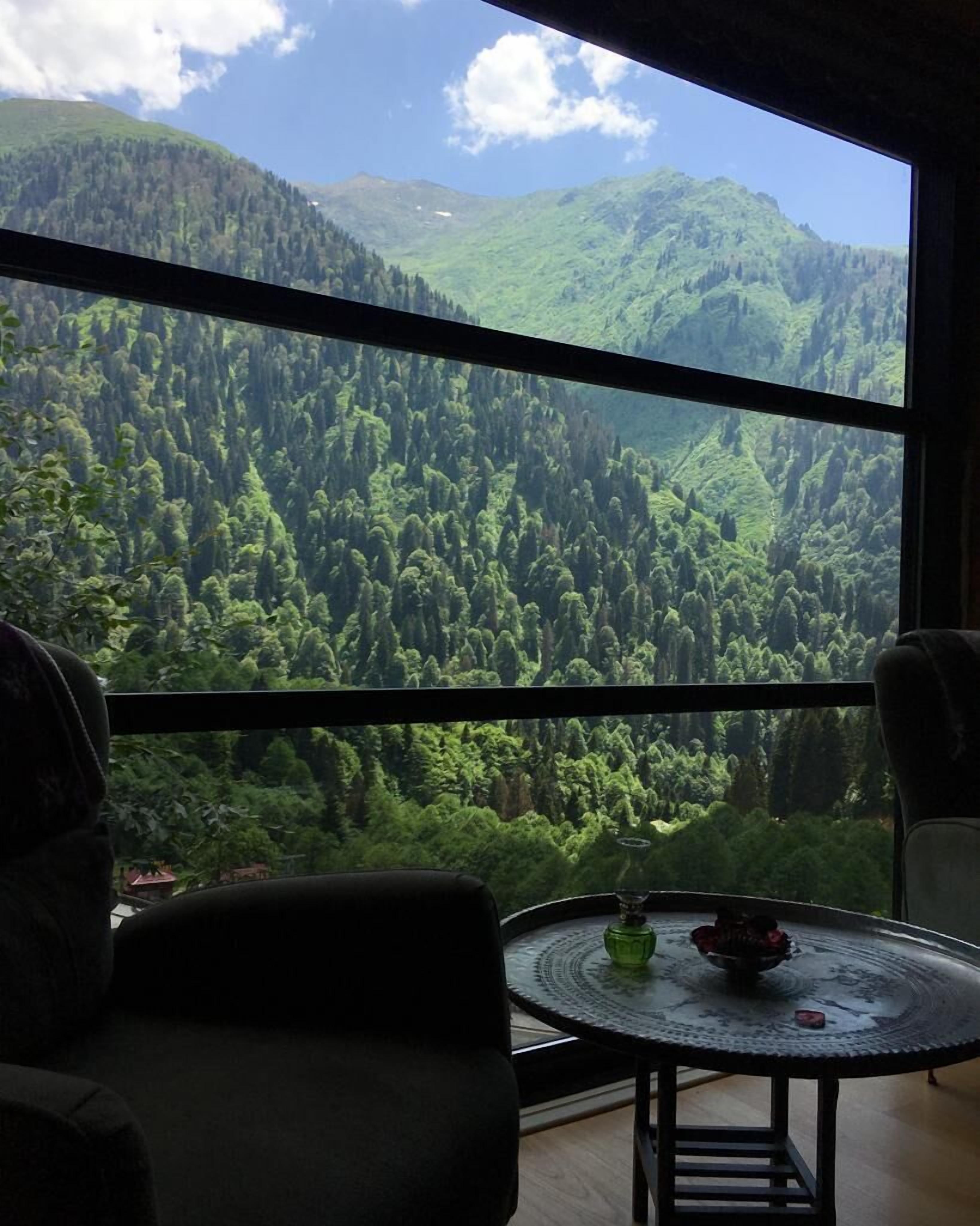 Una habitación con un ventanal que ofrece vistas a un bosque denso y montañas.