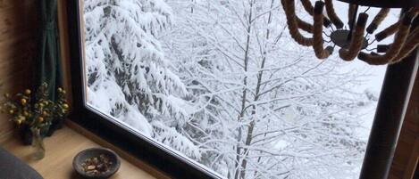 Una stanza accogliente con una grande finestra che si affaccia su un paesaggio innevato, un tappeto decorato e un camino a legna.