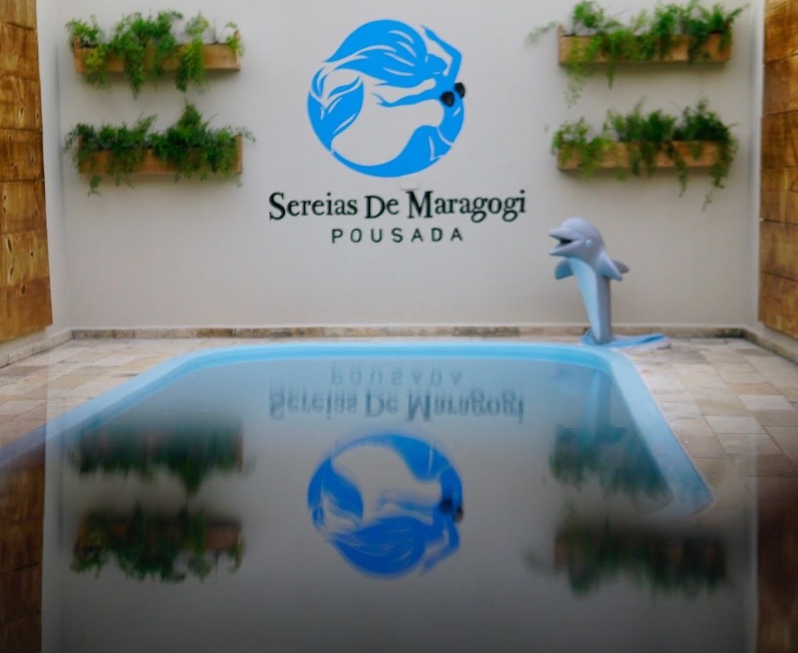 Outdoor pool, open 8:00 AM to 8:00 PM, sun loungers