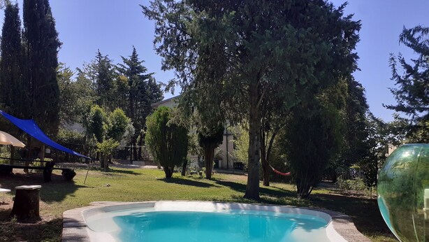 Ein Swimmingpool, umgeben von Bäumen und einer blauen Plane.