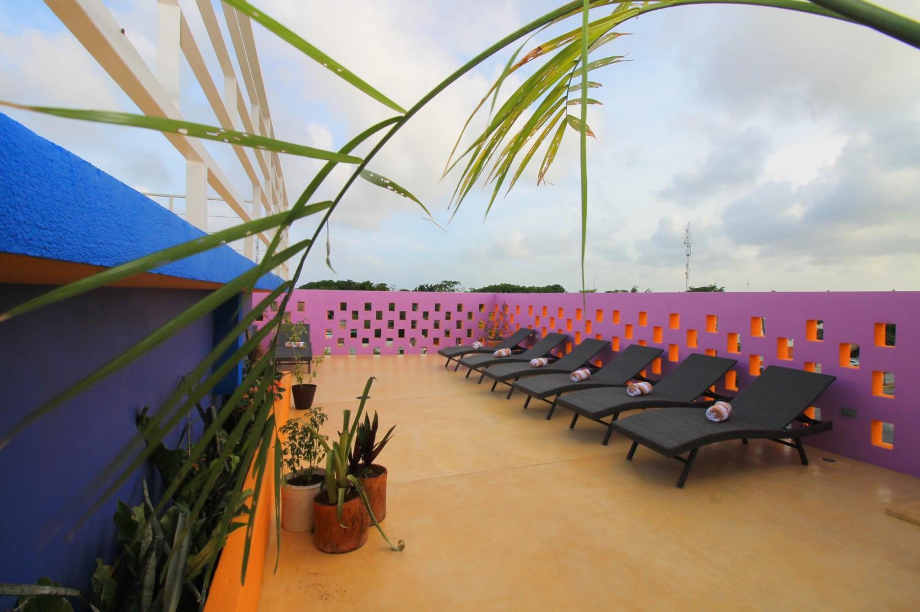 A rooftop lounge area with sun loungers and potted plants.