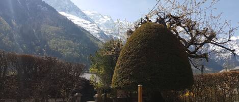 Àrea exterior de l'allotjament