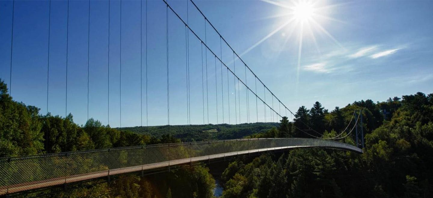 Un puente colgante sobre un área boscosa con cielo despejado.