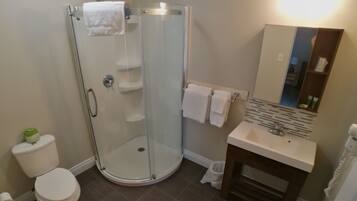 Une salle de bain moderne dotée d’une douche à parois de verre, de toilettes, d’un lavabo et d’un miroir.