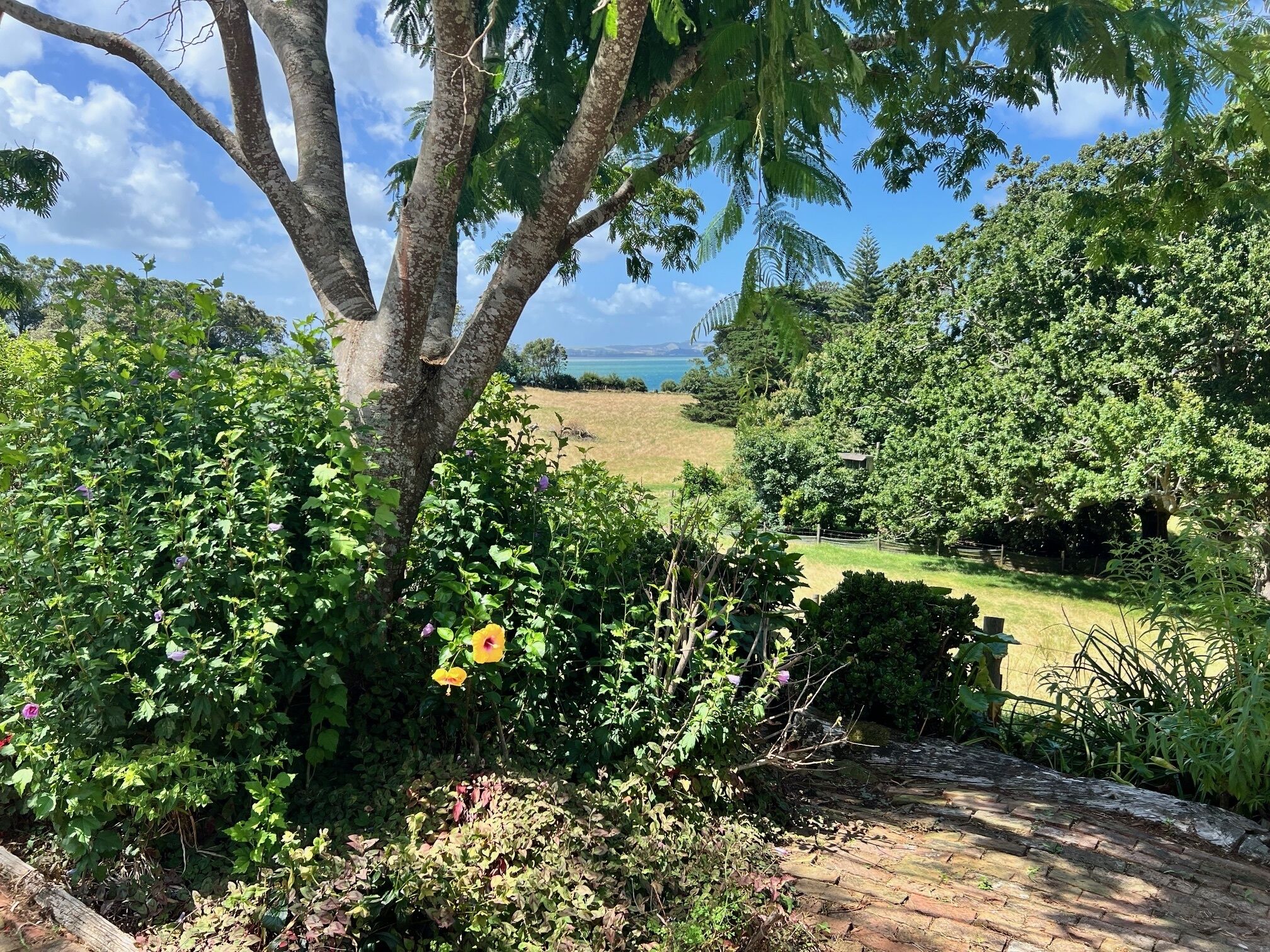 Overnatningsstedets område