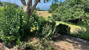 Ein üppiger Garten mit vielfältigen Pflanzen und Blick aufs Meer.