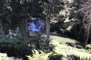 Property grounds - Matakana Waterfall Hideaway   (Matakana)