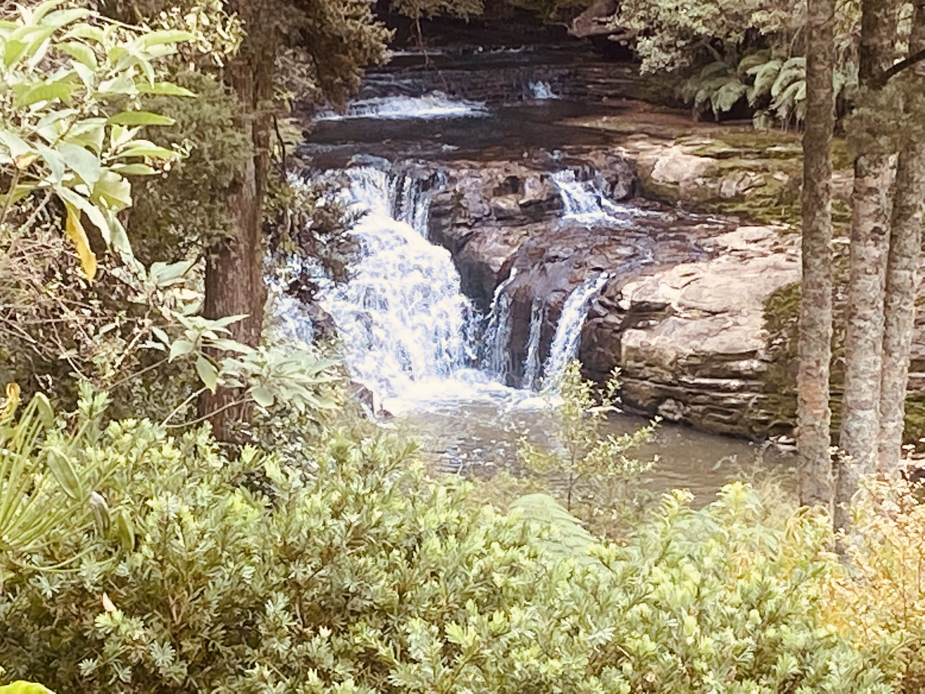 Una cascada se precipita sobre terreno rocoso rodeado de vegetación exuberante.