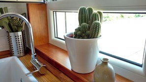 A kitchen counter with a white sink, a stainless steel colander, a white pot with a cactus, and a window with a view of greenery.
