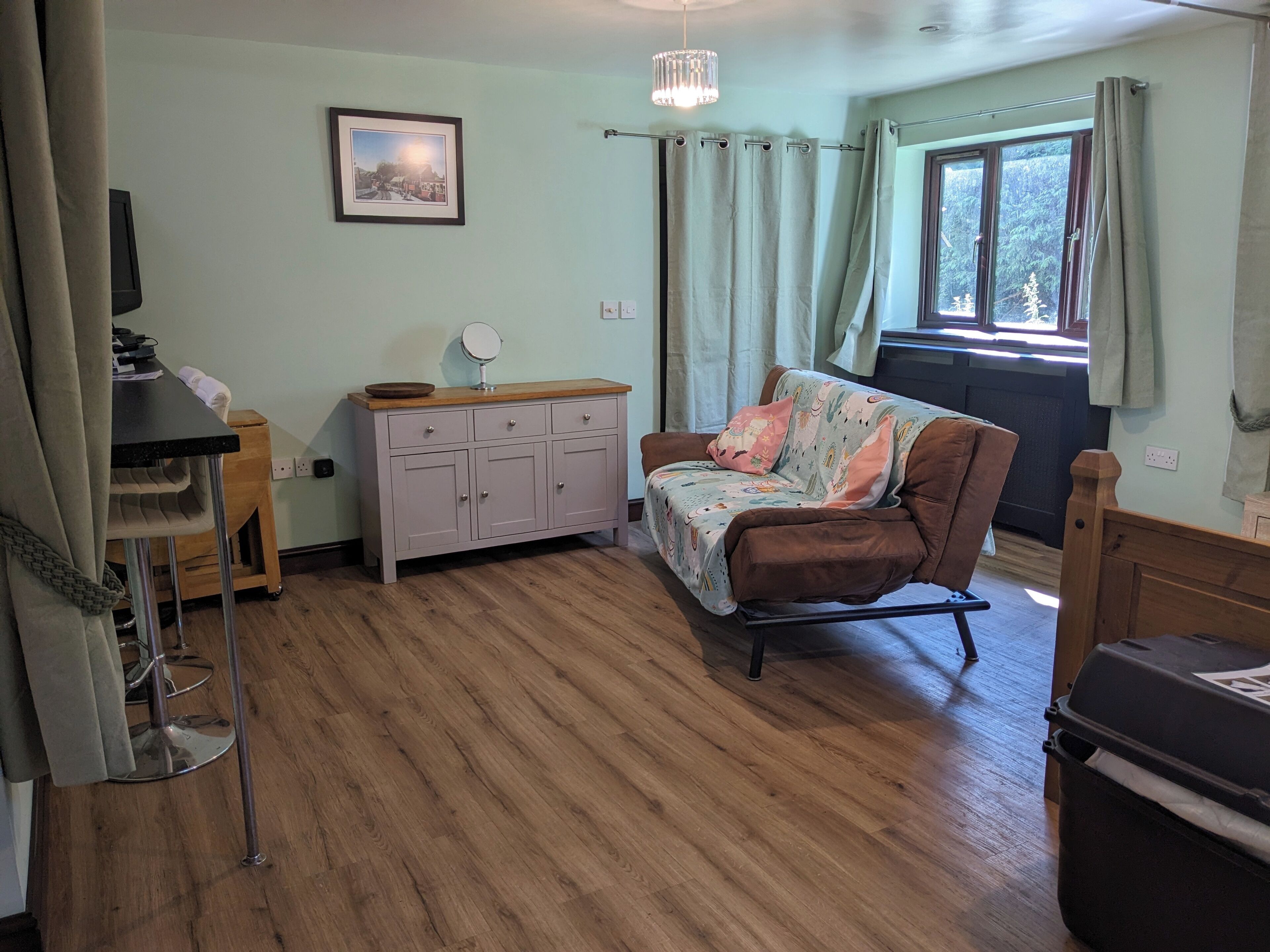 TV, DVD player, video library