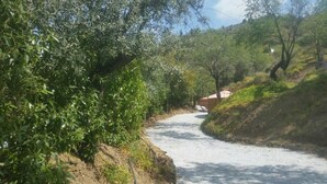 Ein schmaler Schotterweg, gesäumt von dichtem Grün und einem Hang.