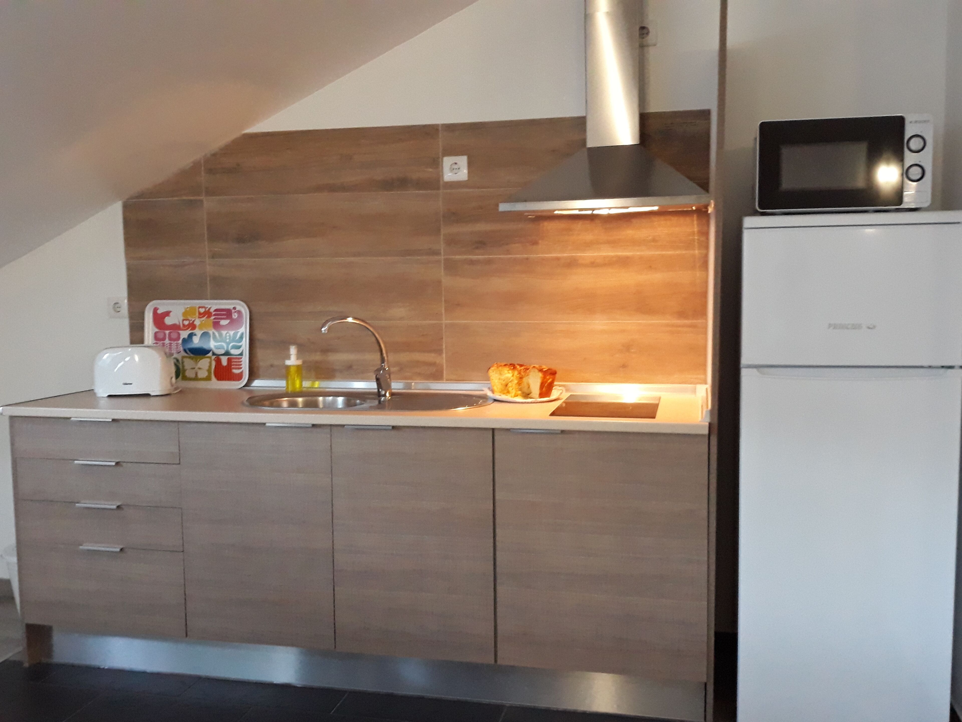 Fridge, microwave, stovetop, coffee/tea maker