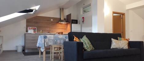 TV, fireplace, books